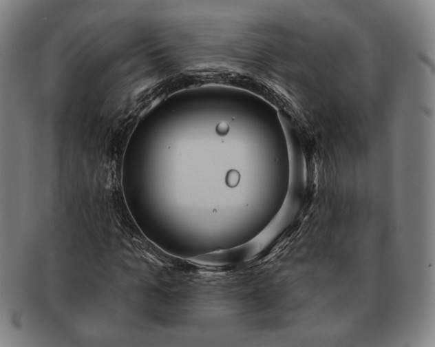 X0000091470965200708231335