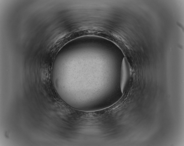 X0000091470966200708231334