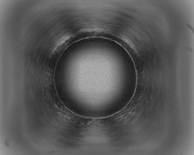 X0000091470967200708231334