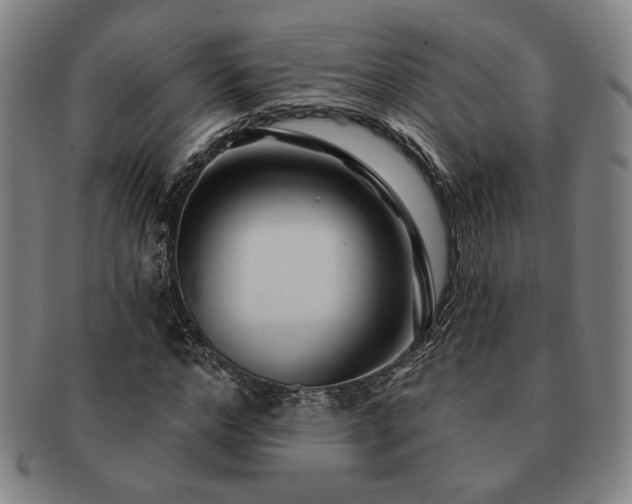 X0000091470968200708231334