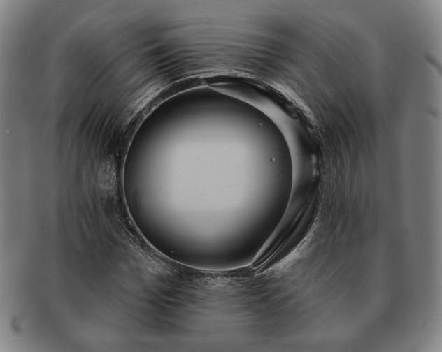 X0000091470969200708231334