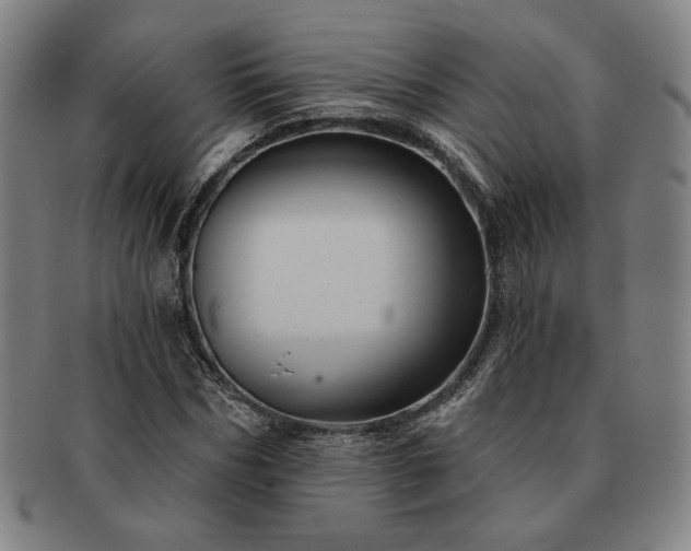 X0000091470970200708231334