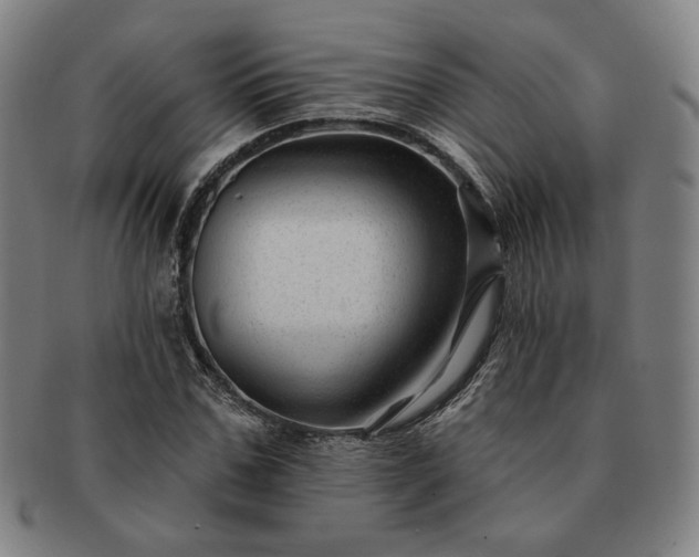 X0000091470971200708231334