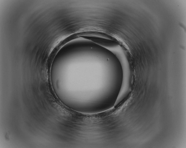 X0000091470973200708231334