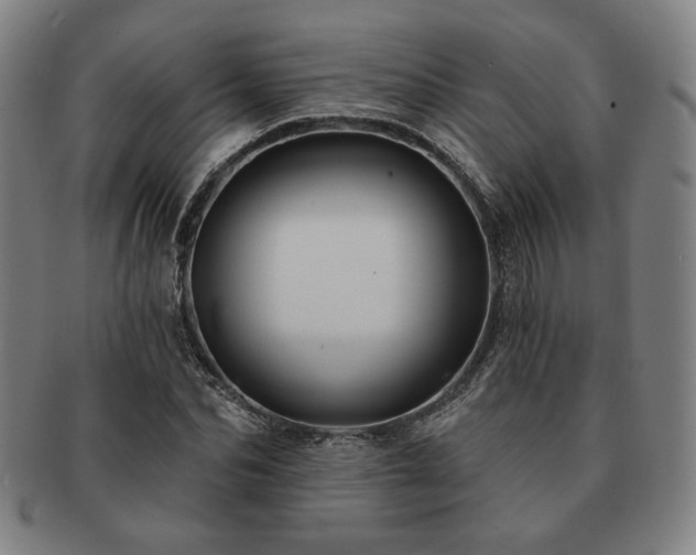 X0000091470974200708231334