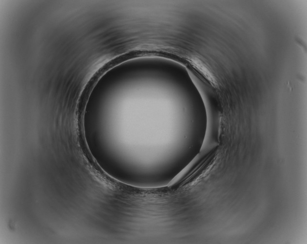 X0000091470976200708231334