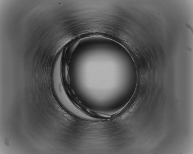 X0000091470977200708231334