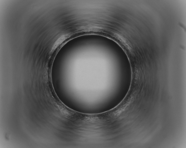 X0000091470978200708231334