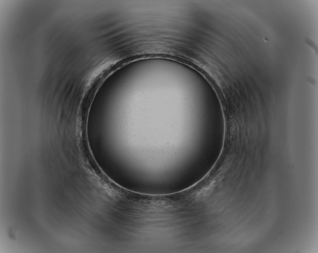 X0000091470979200708231334