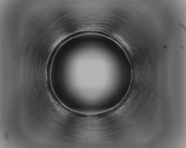 X0000091470980200708231334