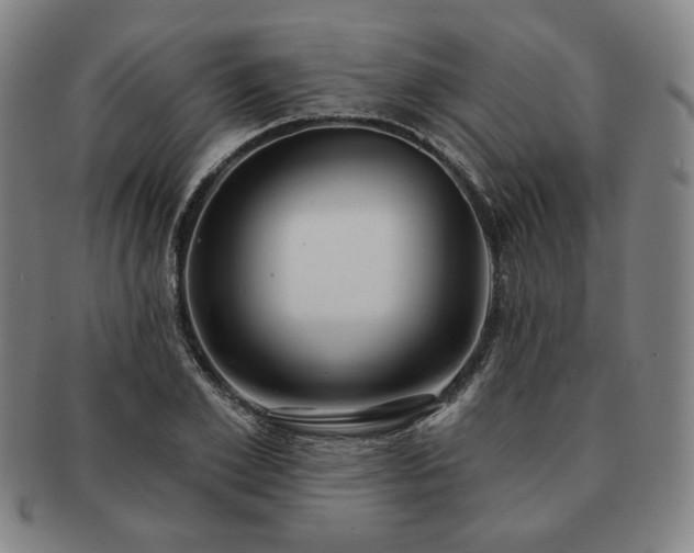 X0000091470981200708231334