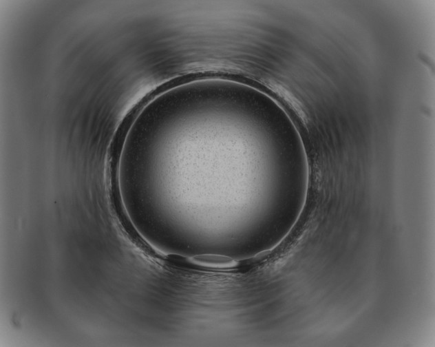 X0000091470983200708231334