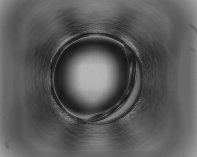 X0000091470984200708231334