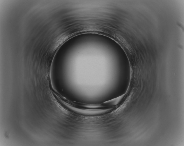 X0000091470985200708231334