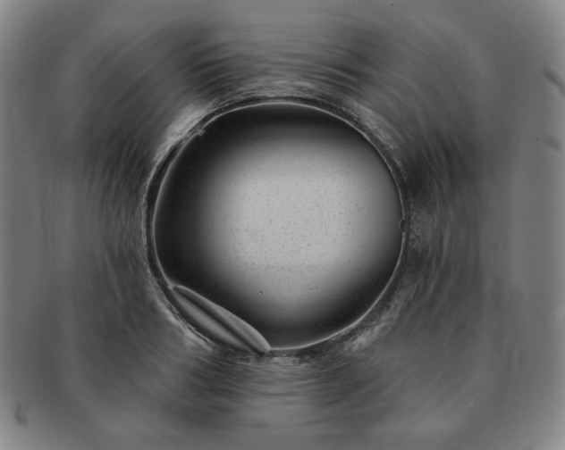 X0000091470986200708231334