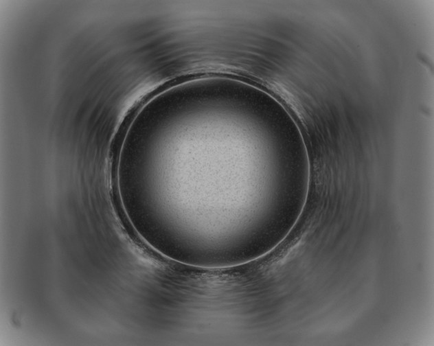 X0000091470987200708231334