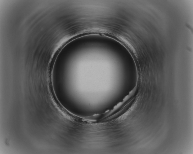 X0000091470989200708231334