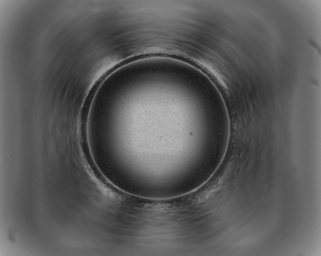 X0000091470991200708231334