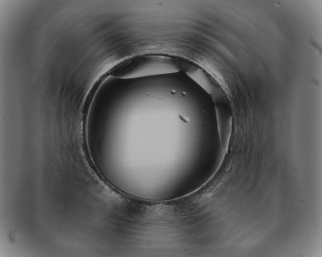 X0000091470992200708231334