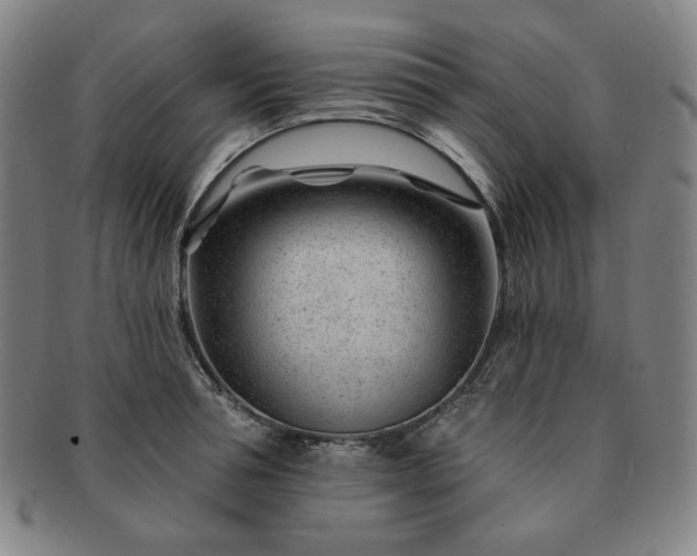 X0000091470994200708231334