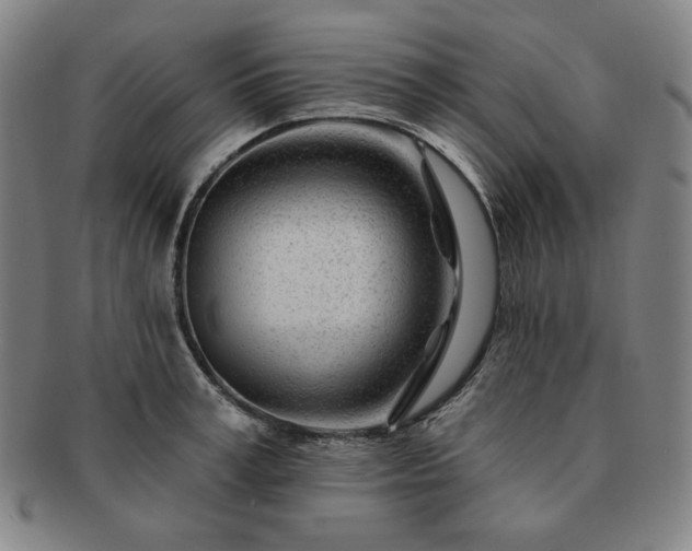 X0000091470995200708231334