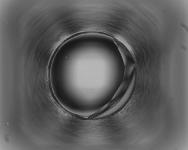 X0000091470996200708231334