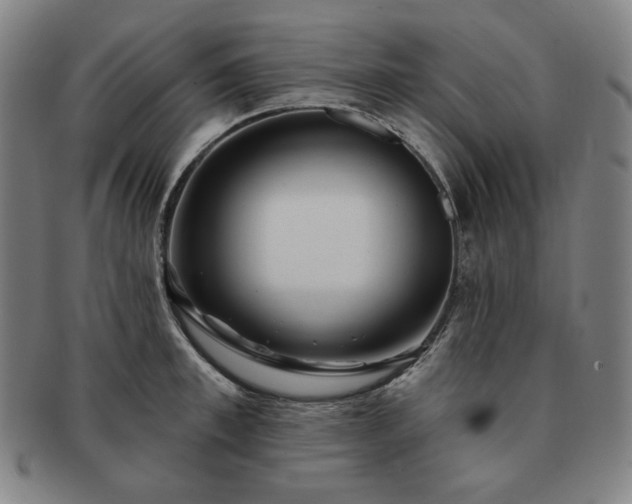 X0000091470997200708231334