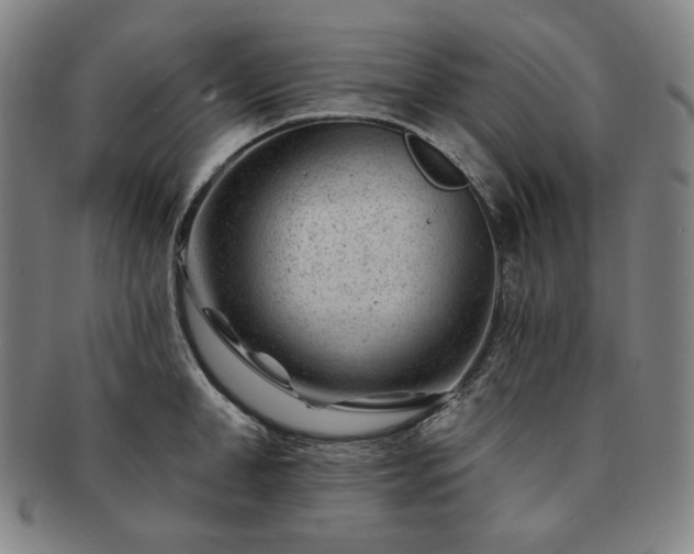 X0000091470998200708231334