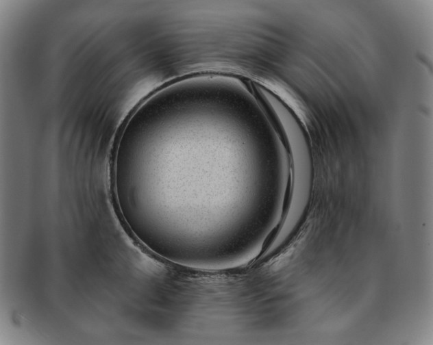 X0000091470999200708231334