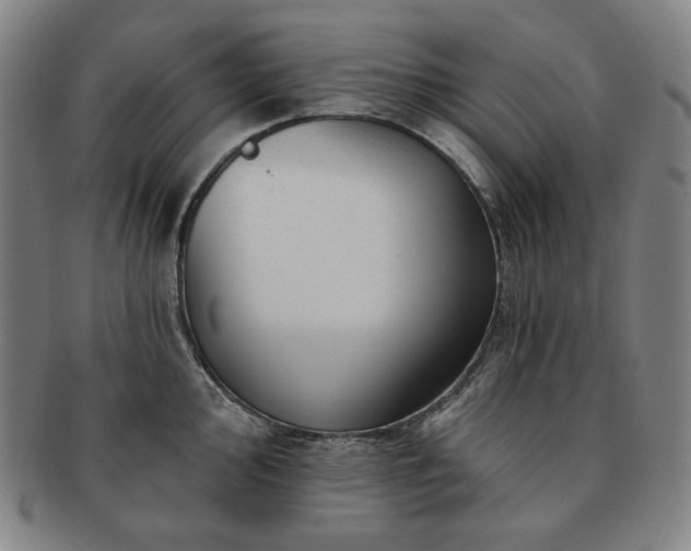 X0000091471000200708231334