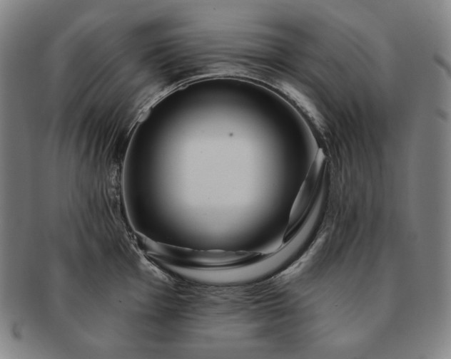 X0000091471001200708231334