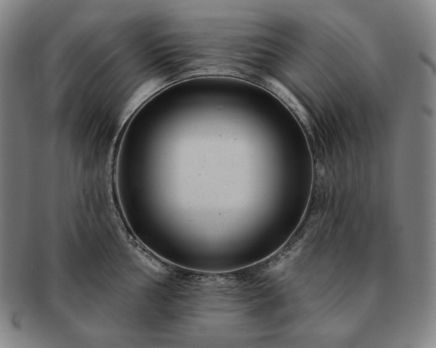 X0000091471002200708231334