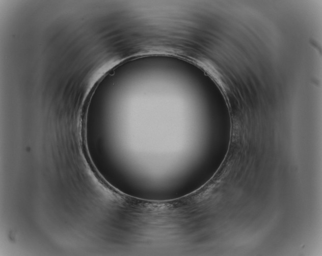 X0000091471003200708231334