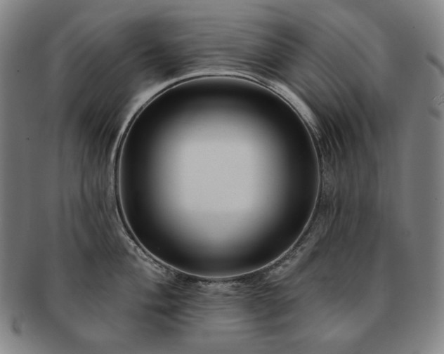 X0000091471004200708231334