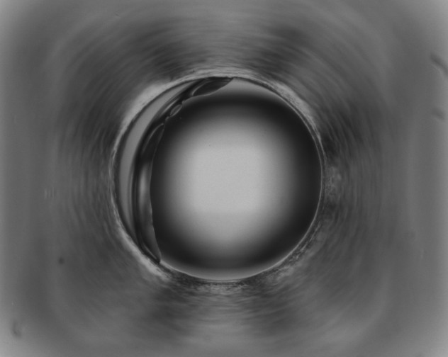 X0000091471005200708231334