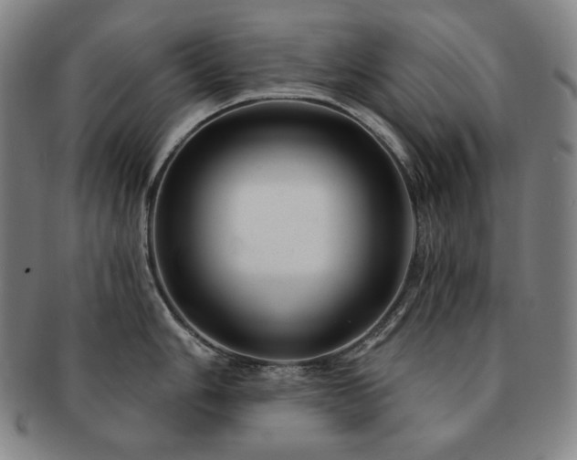 X0000091471006200708231334