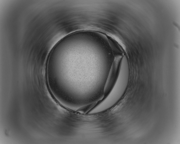 X0000091471007200708231334