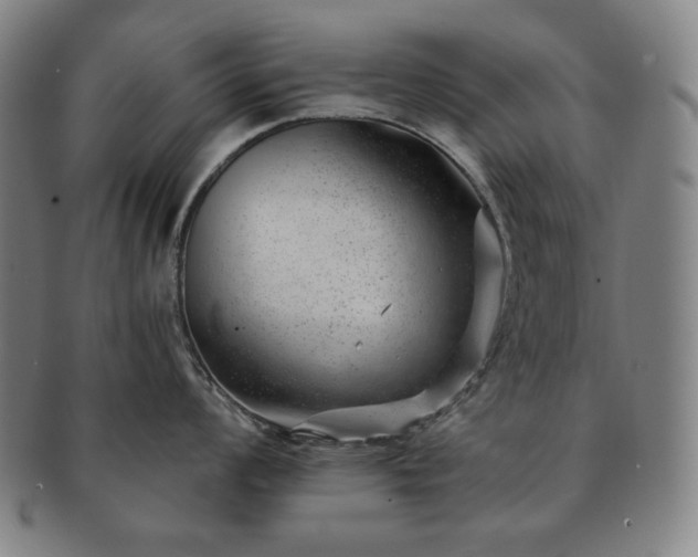 X0000091471008200708231334