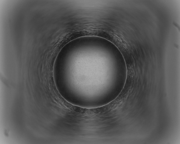 X0000091471009200708231333