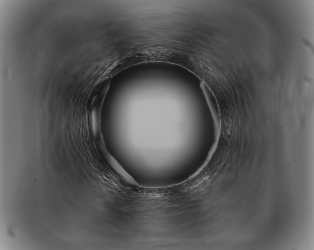 X0000091471010200708231333