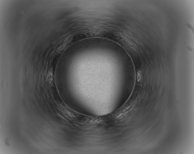 X0000091471011200708231333