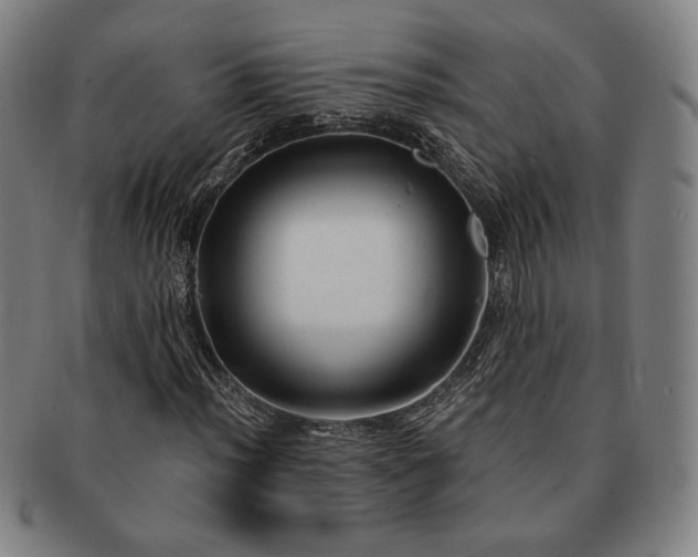 X0000091471012200708231333