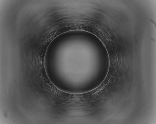 X0000091471013200708231333