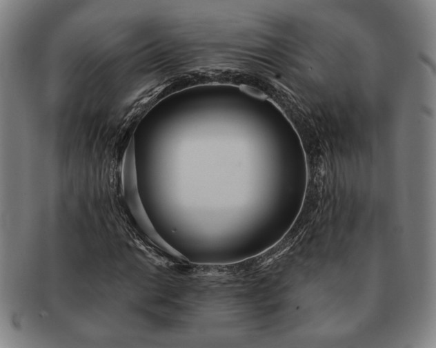 X0000091471014200708231333