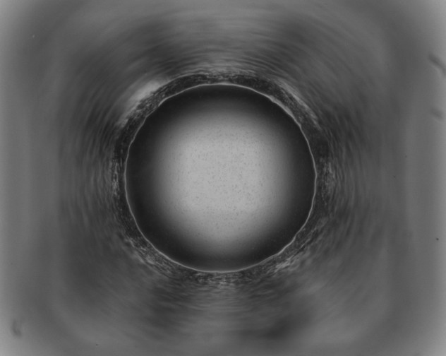 X0000091471016200708231333