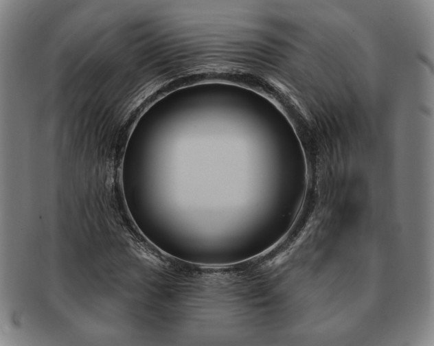 X0000091471017200708231333