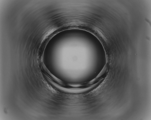 X0000091471018200708231333