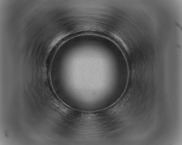 X0000091471019200708231333