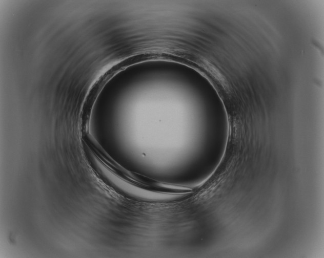 X0000091471020200708231333