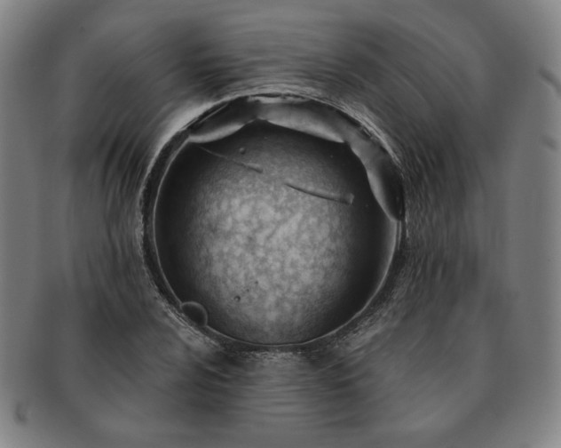 X0000091471024200708231333